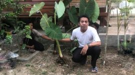 Pelopori Gerakan Diversifikasi Pangan di Pondok Pesantren, Sulhan Muchlis Ubah Paradigma Konsumsi Pangan Sehat dan Beragam. (Foto: Istimewa)