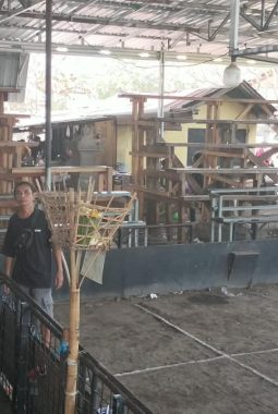 berita-rekomendasi-foto